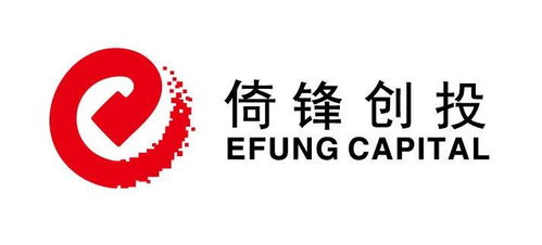 资本浪潮中的守正与创新 深圳市倚锋投资管理企业的深度投资实践